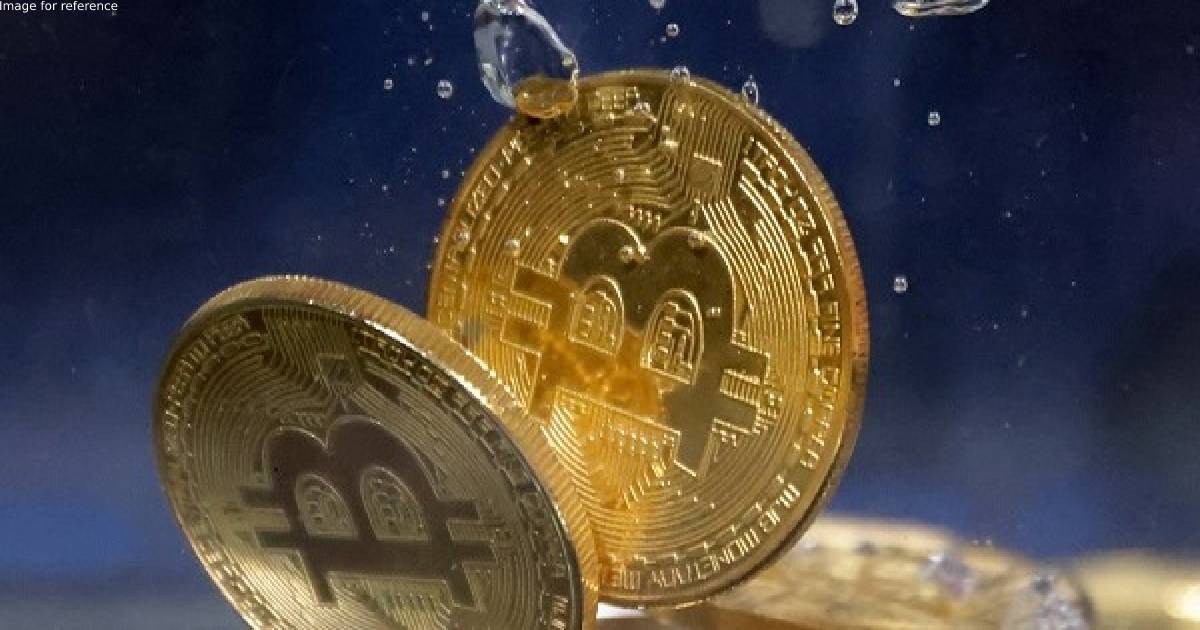 Cryptocurrency collapse continues as more major Crypto firms go out of business
