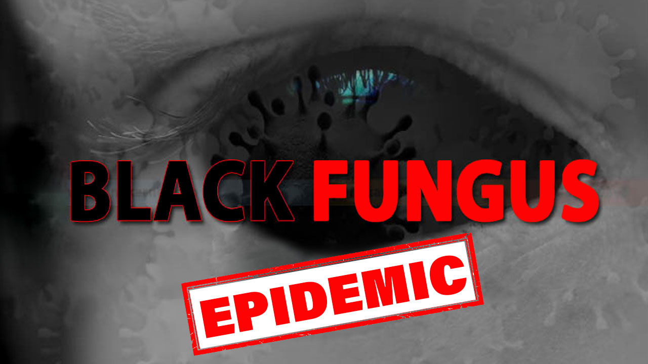 43 die of black fungus infection in Punjab: Minister