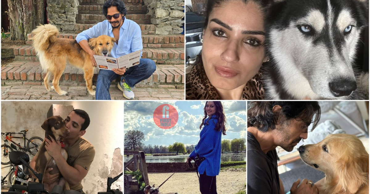 John Abraham, Mahesh Shetty, Sonakshi Sinha: Bollywood Actors with a Pawsome Passion for Pups