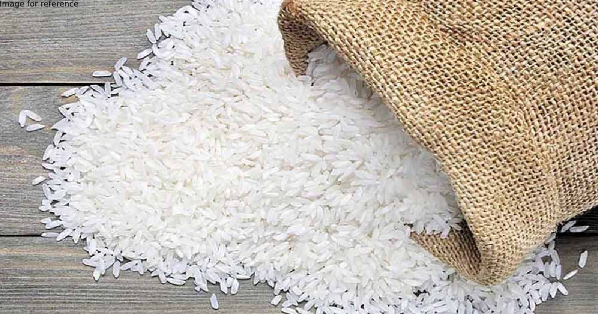 Govt's rice procurement reaches 52.06 million tones so far; makes Rs 1.6 lakh crore MSP payment