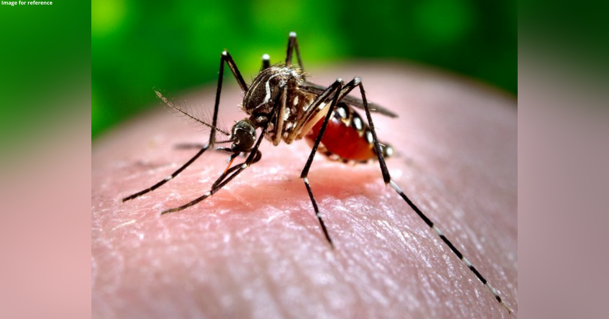 Dengue cases on the rise in Ghaziabad