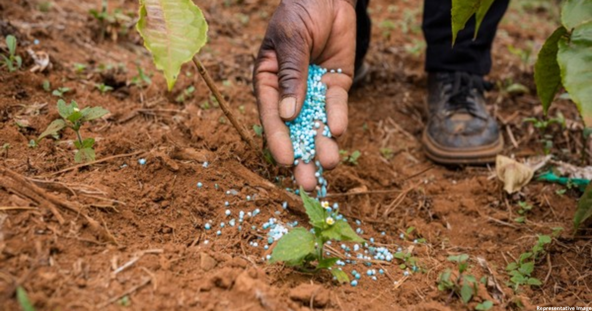 Govt says adequate fertilizers available to meet Rabi season needs