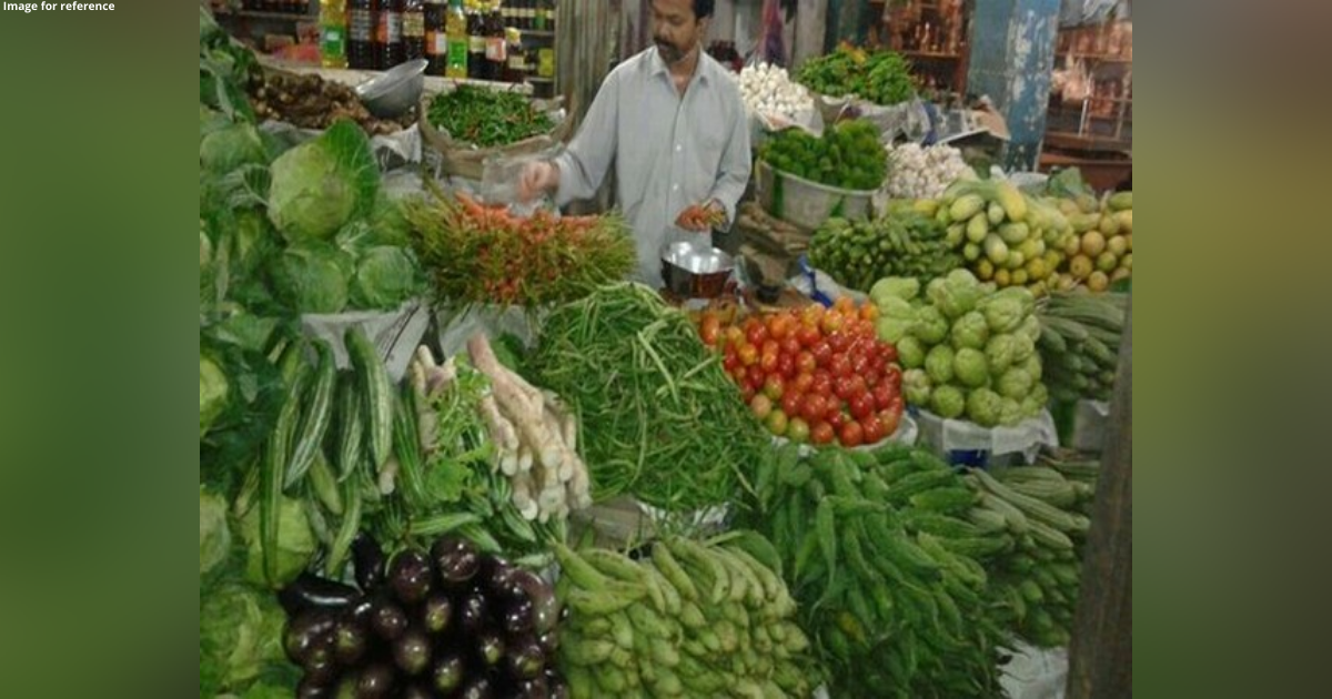 Views on WPI inflation: Rate hikes to continue as retail inflation still above RBI's comfort zone