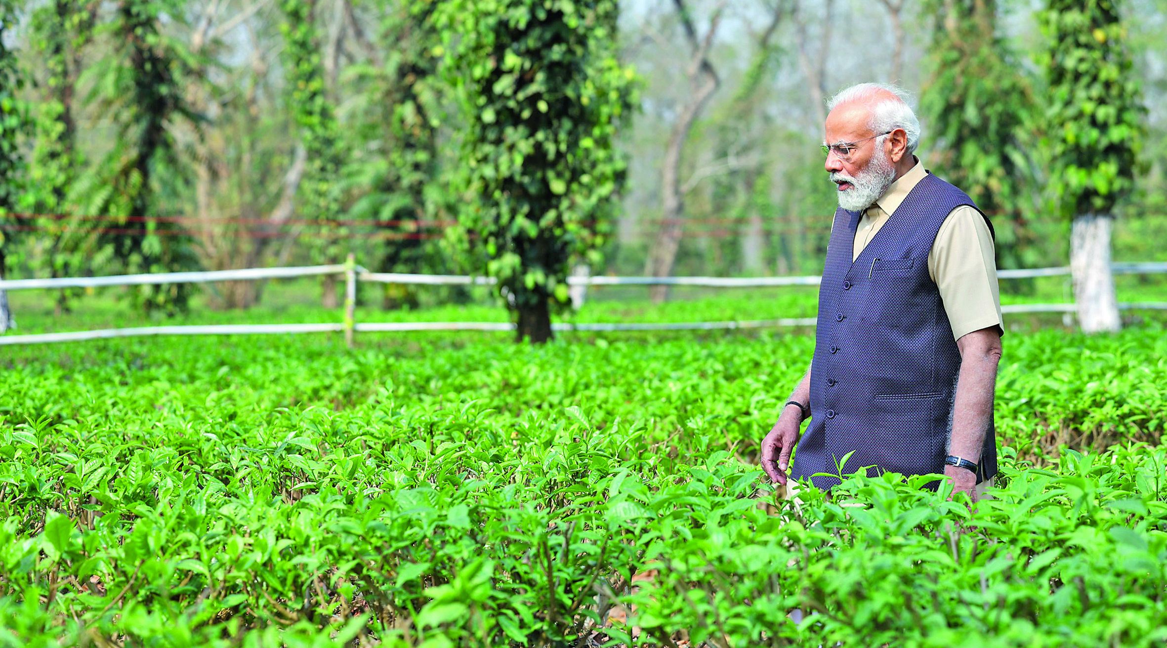 Modi visits Tea estate.